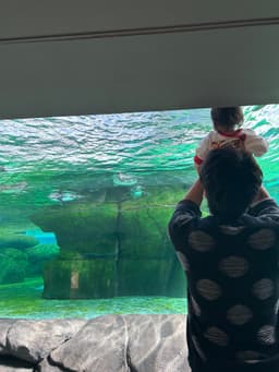 大島直孝のプロフィール写真